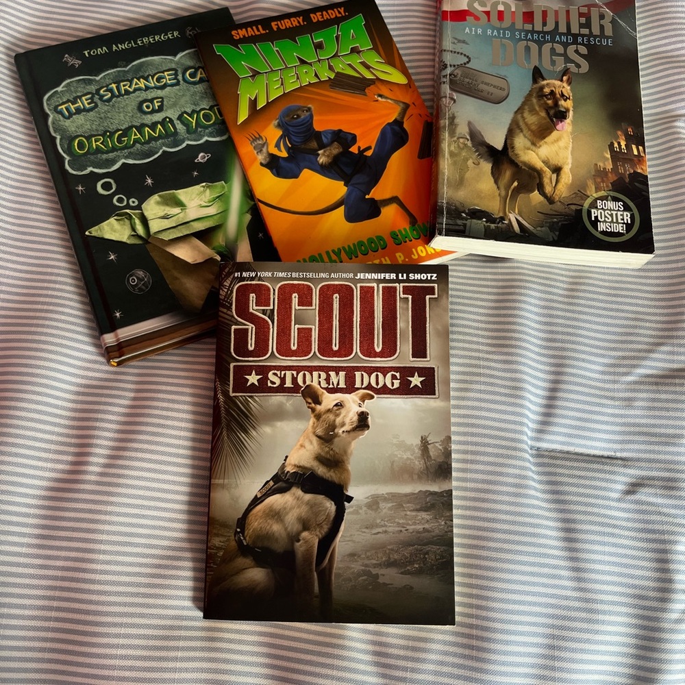 Assorted kids chapter books
